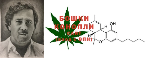 PSILOCYBIN Богородск